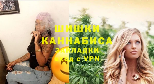 сатива Богданович