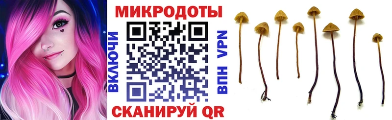 ссылка на мегу рабочий сайт  Новый Оскол  Псилоцибиновые грибы Cubensis 